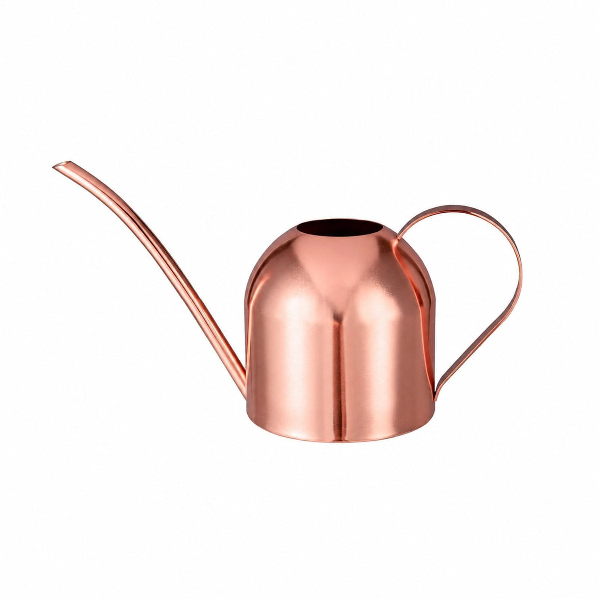 IMEEA Mini Indoor Watering Can for Small Plants, Stainless Steel with Long Spout, 15oz/450ml – Perfect for Desk, Windowsill & Bonsai