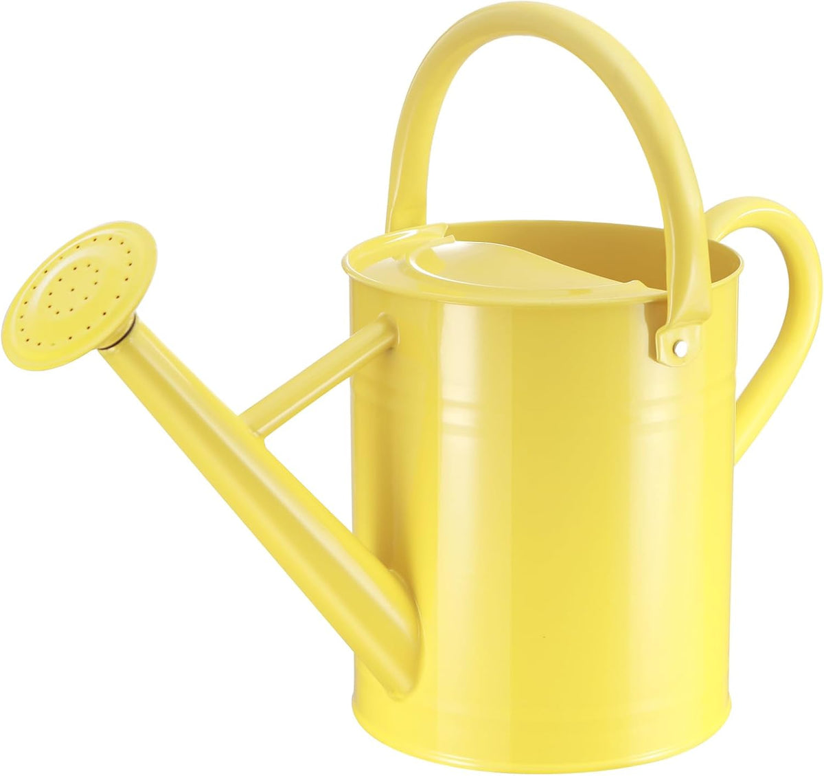 1 Gallon Watering Can for Outdoor&Indoor Plants,Yellow