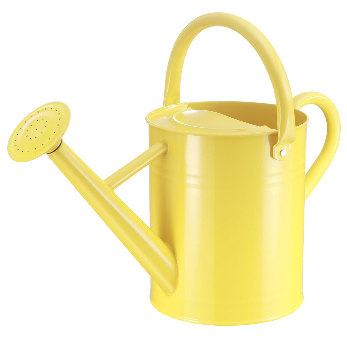 1 Gallon Watering Can for Outdoor&Indoor Plants,Yellow