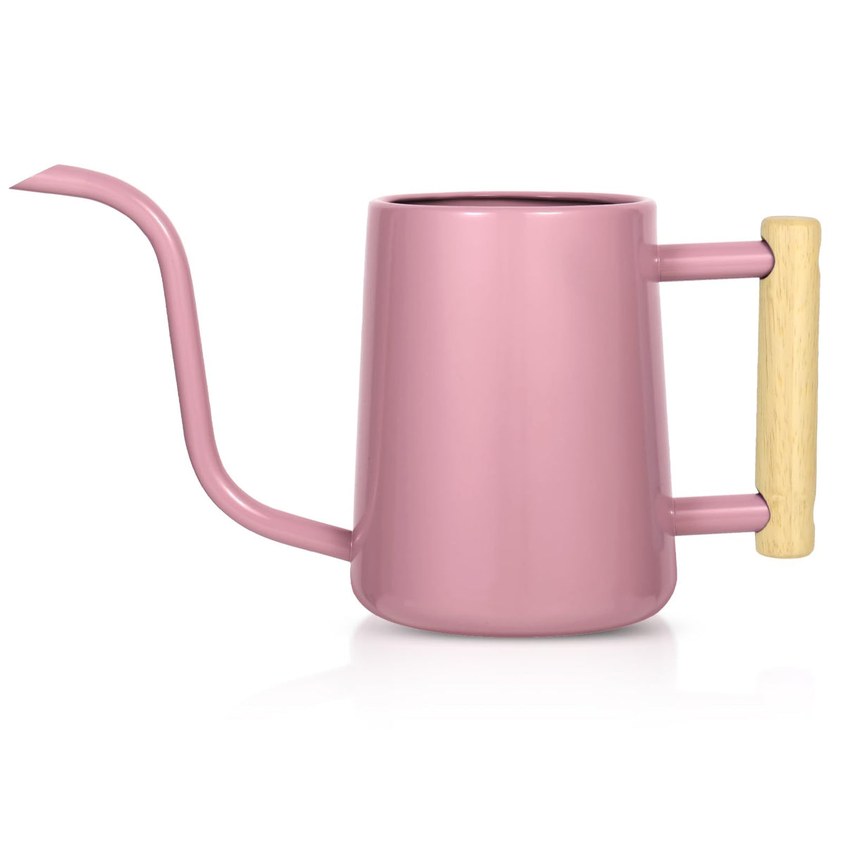 Watering Can Indoor Plants, 35 oz/1000 ml Metal Stainless Steel Watering Can Pot with Long Spout for Indoor House Plants Bonsai Outdoor Garden Flower Decorative (Sage Green)