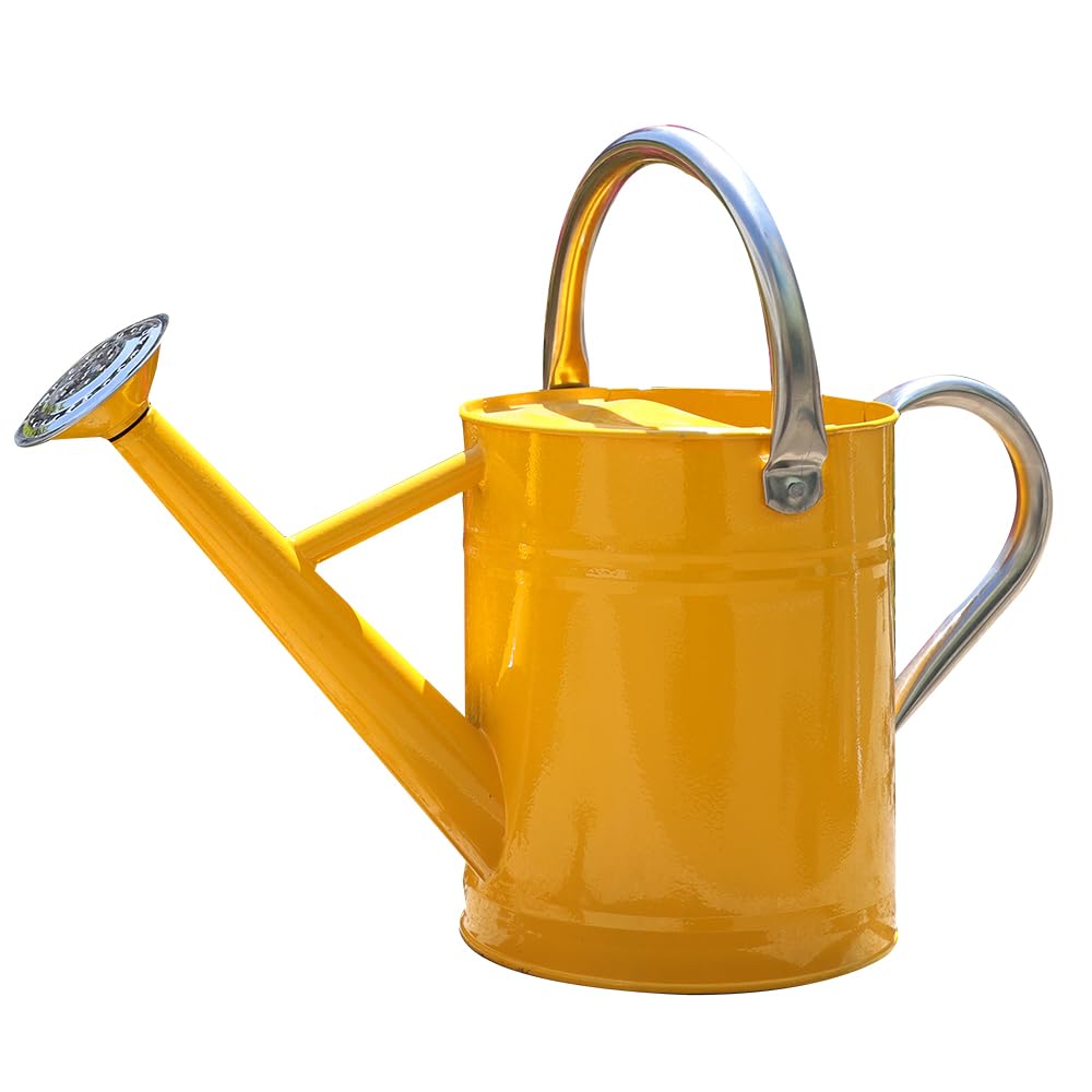 Metal Watering Can 1 Gallon for Outdoor Garden Plants, Green