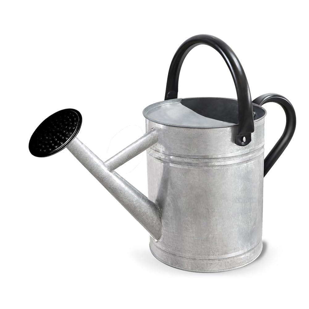 Metal Watering Can with Removable Spout, Galvanized Steel Plants Water Can for Women, Men and Kids' Outdoor or Indoor Gardening - Nice Flower Watering Pot Gift & Decoration (Ocean Blue, 0.6 Gallon)