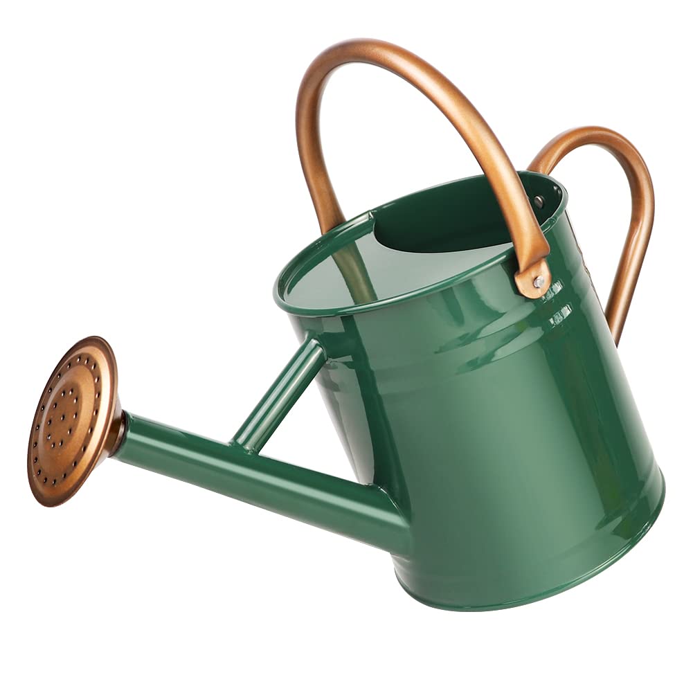 Metal Watering Can with Removable Spout, Galvanized Steel Plants Water Can for Women, Men and Kids' Outdoor or Indoor Gardening - Nice Flower Watering Pot Gift & Decoration (Ocean Blue, 0.6 Gallon)