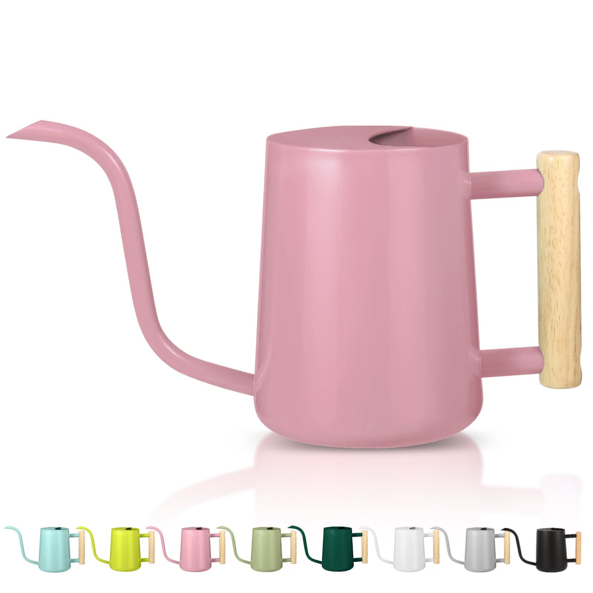 Watering Can Indoor Plants, 35oz Small Indoor Stainless Steel Metal Watering Can Modern Decorative Watering Pot with Long Spout for Indoor House Plant Bonsai Garden Flowers (Sage Green)