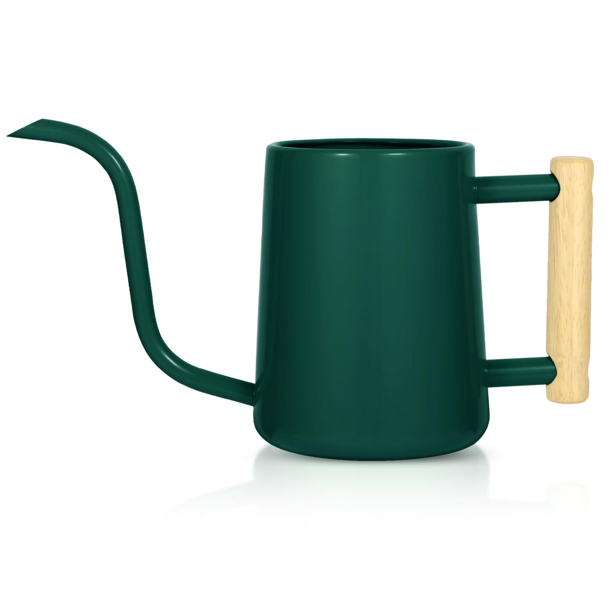 Watering Can Indoor Plants, 35 oz/1000 ml Metal Stainless Steel Watering Can Pot with Long Spout for Indoor House Plants Bonsai Outdoor Garden Flower Decorative (Sage Green)