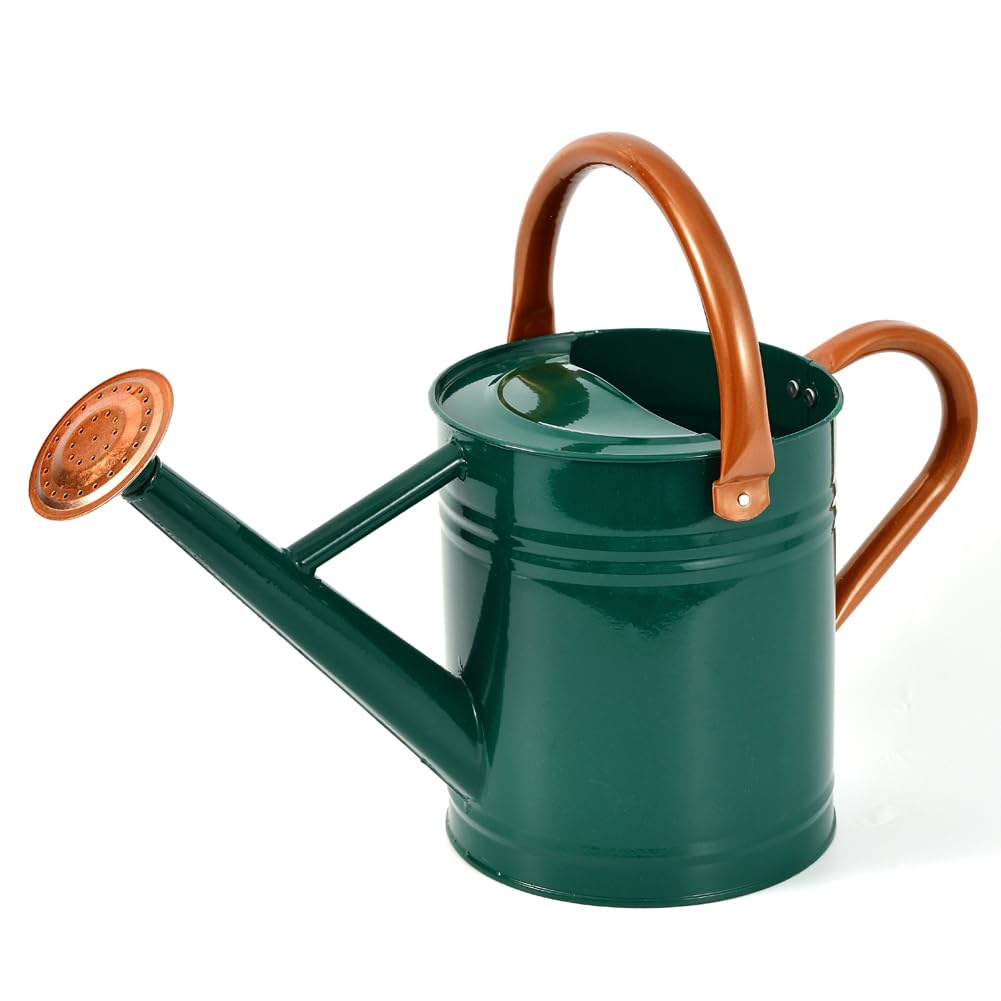 Metal Watering Can 1 Gallon for Outdoor Garden Plants, Green