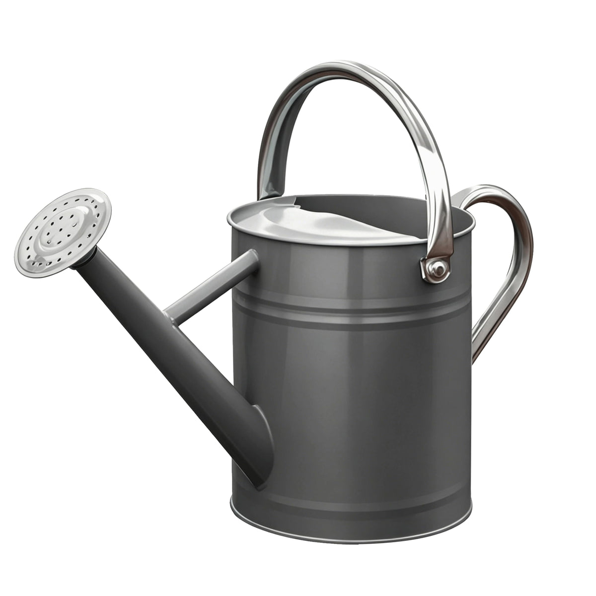 Metal Watering Can for Outdoor Plants, Watering Can Decor 1 Gallon (Zinc)
