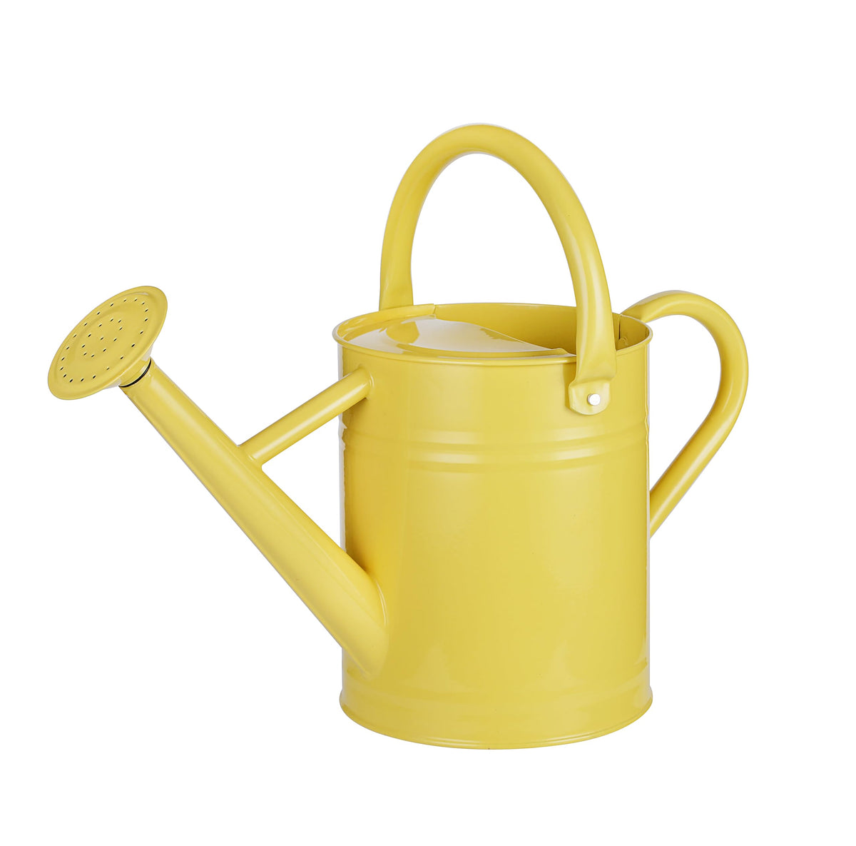 1 Gallon Watering Can for Plants, Watering Cans for Indoor&Outdoor Gardening, Galvanized Steel Watering Pot with Removable Spout, Metal Water Can with Ergonomic Movable Handle(Cream Green)