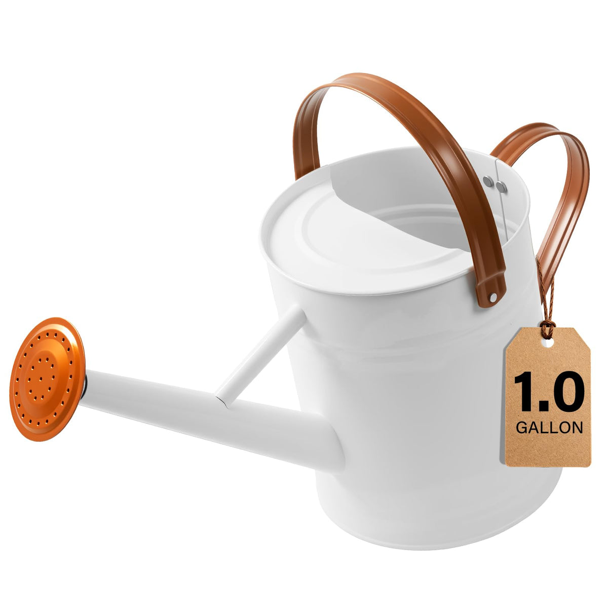 1 Gallon Watering Can for Outdoor&Indoor Plants,Yellow