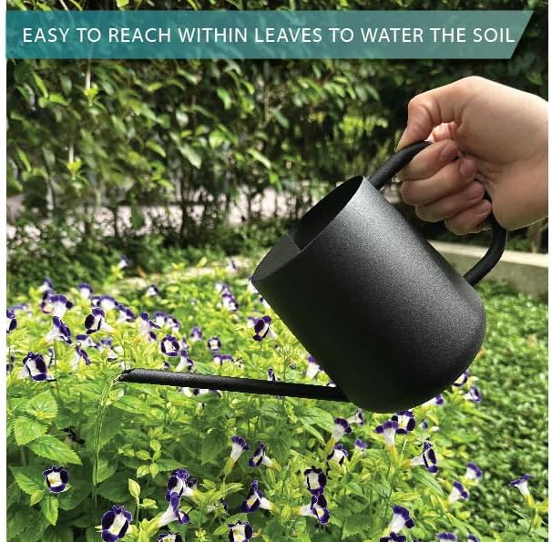 Metal Indoor Plant Watering Can with Long Spout 1000ml - Black