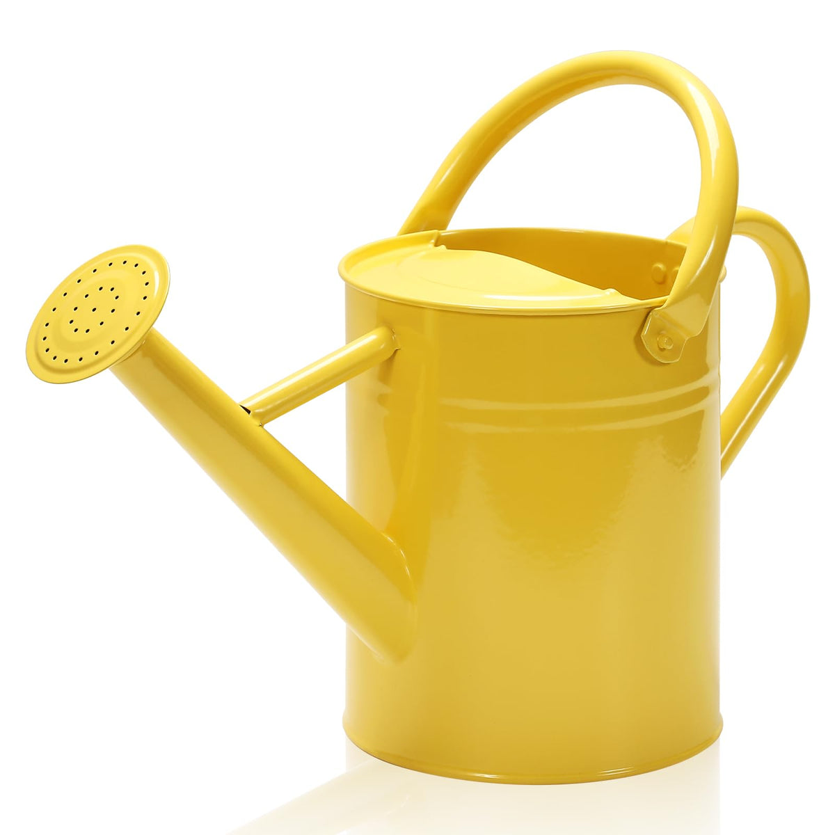 Metal Watering Can with Removable Spout, Galvanized Watering Can, Perfect for Indoor Use and for Outdoor Use (1 Gallaon, Metal)