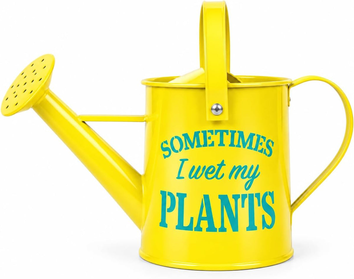 Small Indoor Watering Can - Galvanized Metal - Gardening Gifts for Women