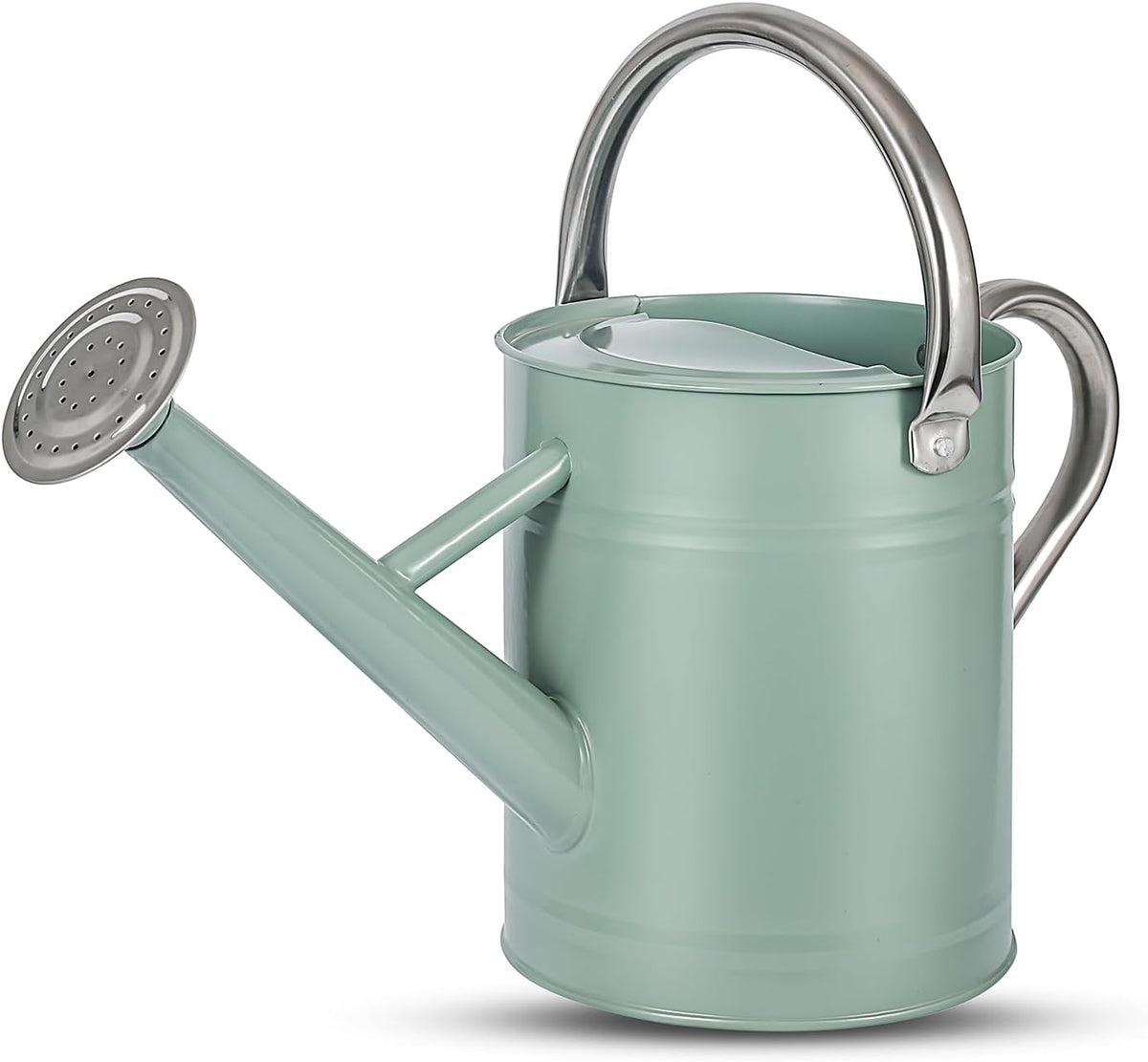1 Gallon Watering Can for Plants, Watering Cans for Indoor&Outdoor Gardening, Galvanized Steel Watering Pot with Removable Spout, Metal Water Can with Ergonomic Movable Handle(Cream Green)