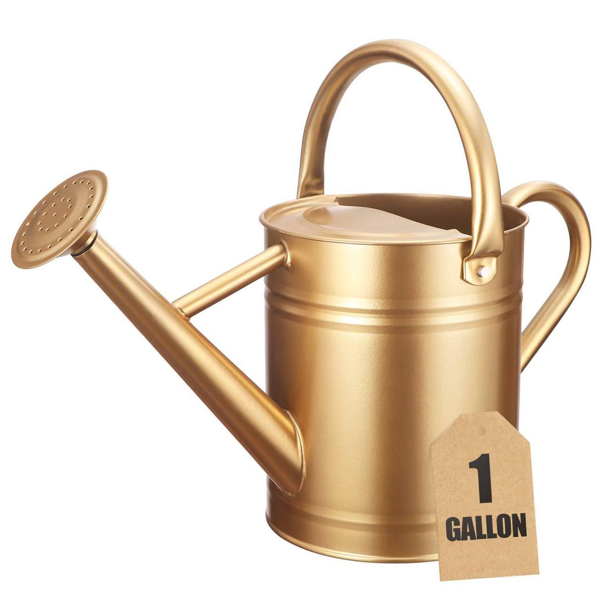 1 Gallon Watering Can for Outdoor&Indoor Plants,Yellow