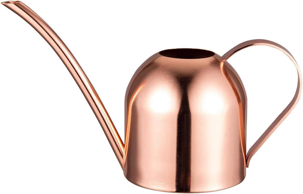 IMEEA Mini Indoor Watering Can for Small Plants, Stainless Steel with Long Spout, 15oz/450ml – Perfect for Desk, Windowsill & Bonsai