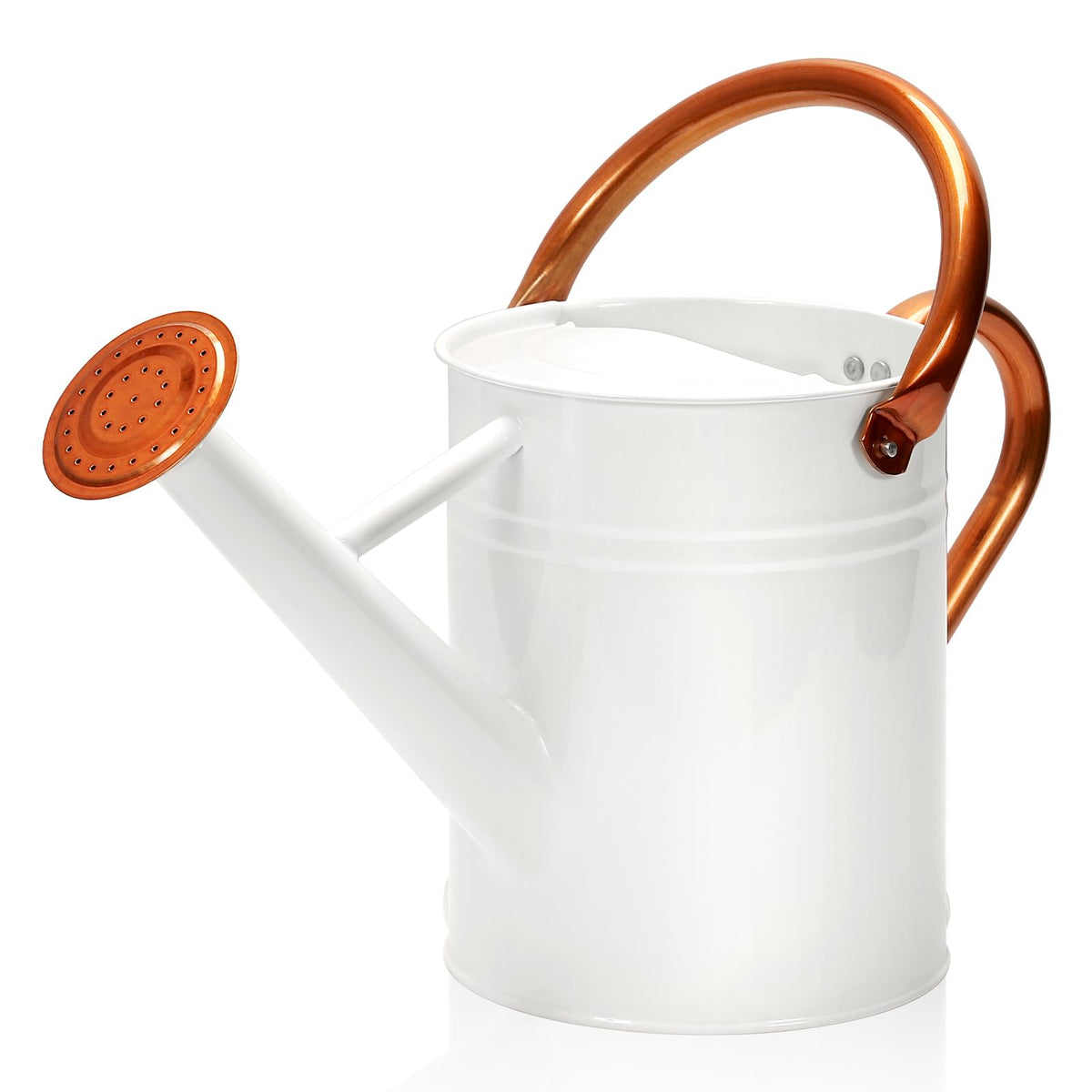 Metal Watering Can with Removable Spout, Galvanized Watering Can, Perfect for Indoor Use and for Outdoor Use (1 Gallaon, Metal)