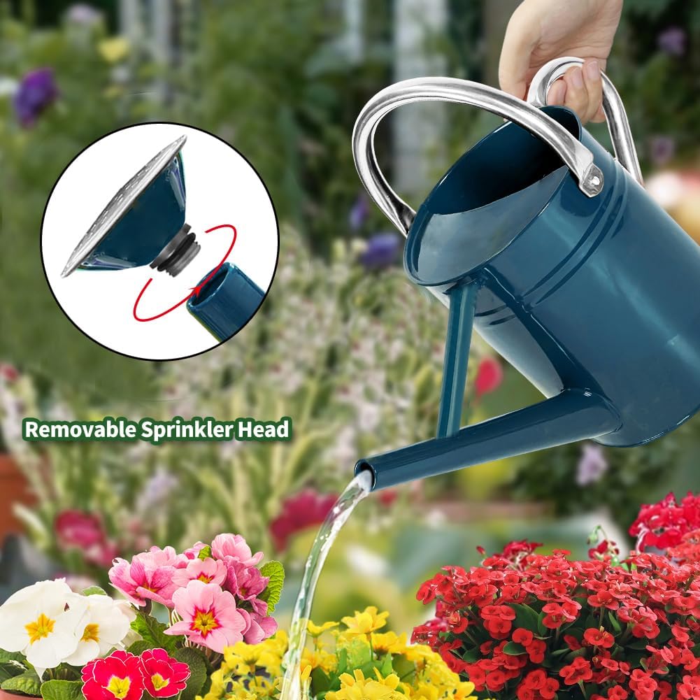 Metal Watering Can with Removable Spout, Galvanized Steel Plants Water Can for Women, Men and Kids' Outdoor or Indoor Gardening - Nice Flower Watering Pot Gift & Decoration (Ocean Blue, 0.6 Gallon)