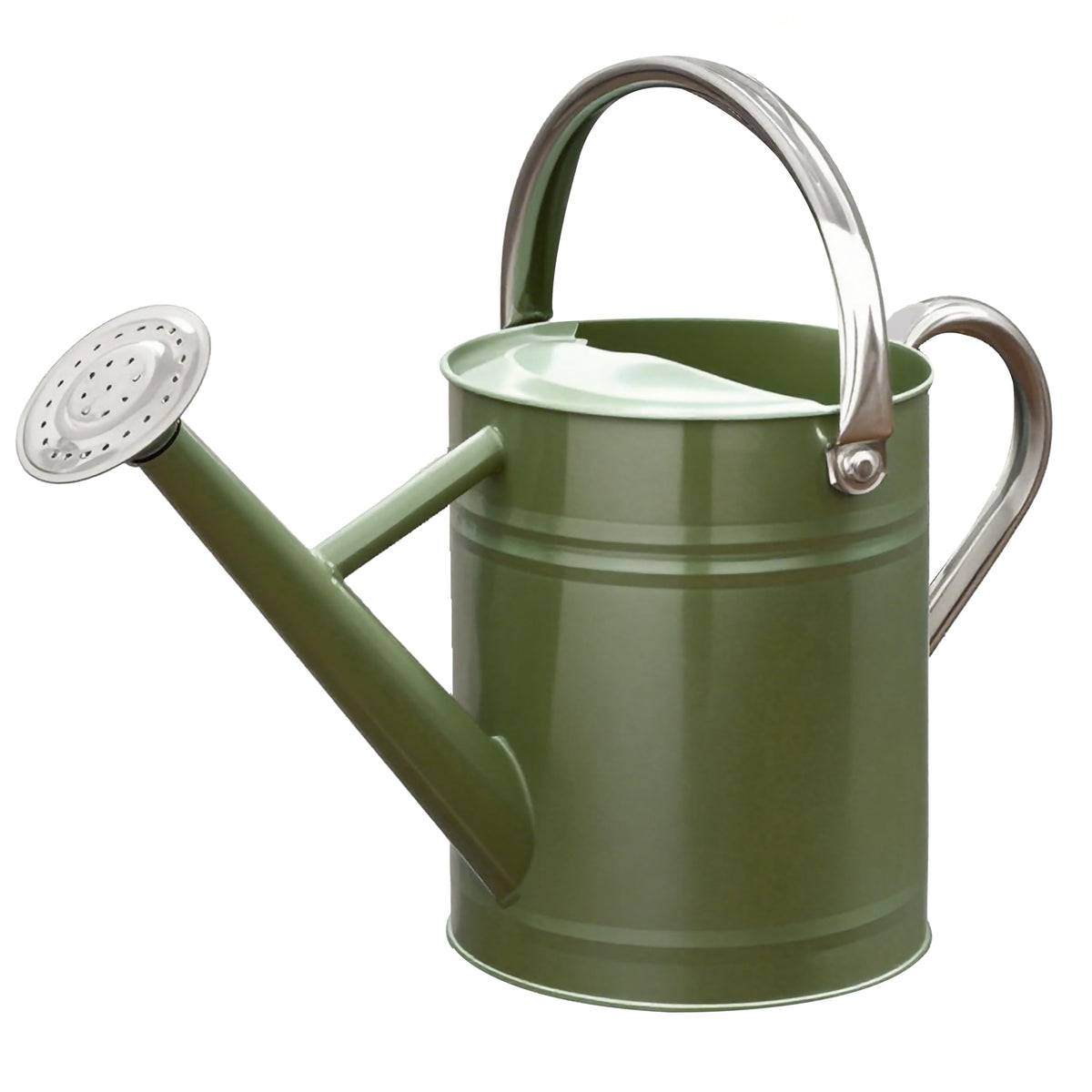 Metal Watering Can 1 Gallon for Outdoor Garden Plants, Green