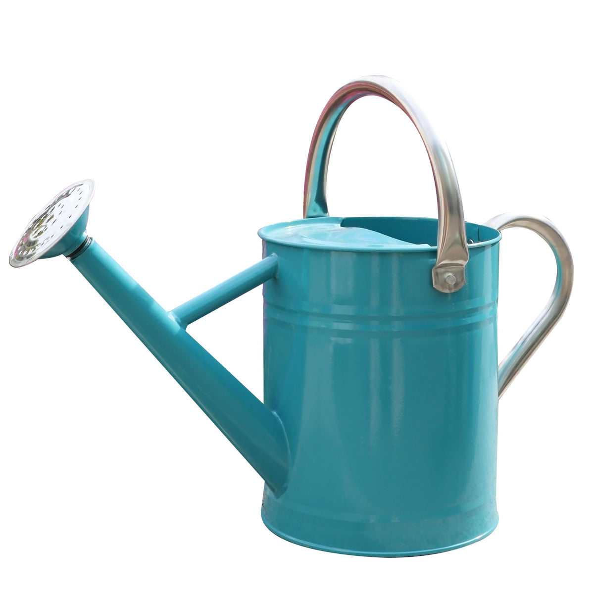 Metal Watering Can for Outdoor Plants, Watering Can Decor 1 Gallon (Zinc)