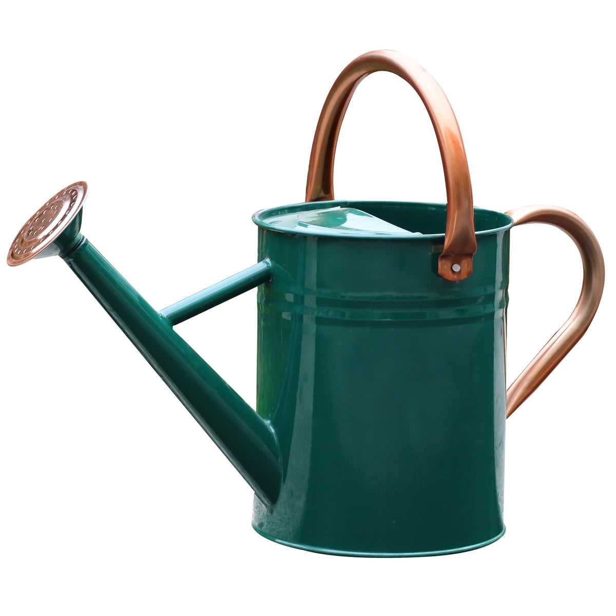 Metal Watering Can for Outdoor Plants, Watering Can Decor 1 Gallon (Zinc)