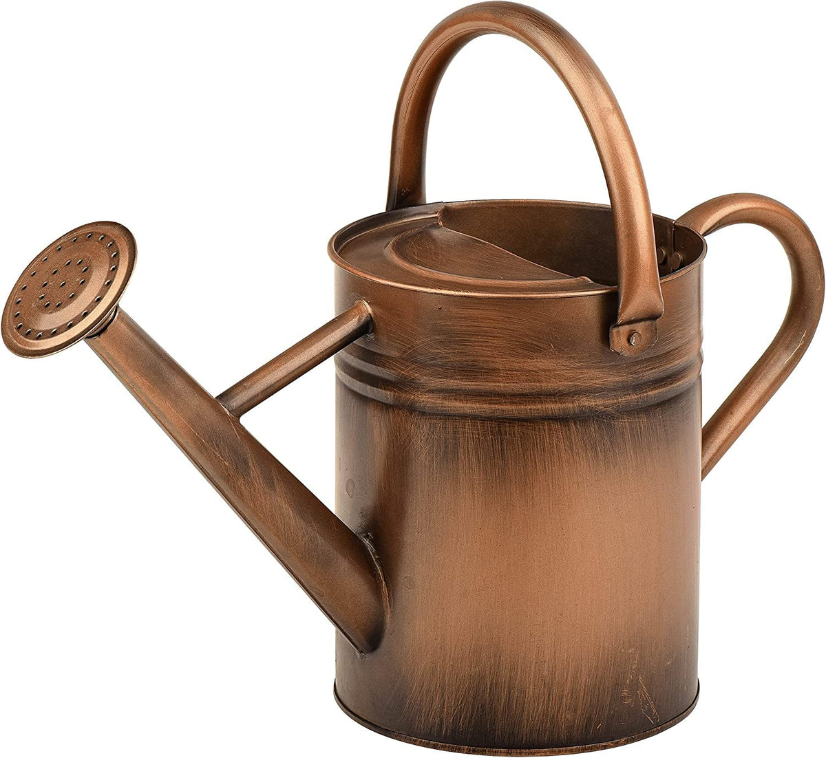 Metal Watering Can for Outdoor Plants, Watering Can Decor 1 Gallon (Zinc)
