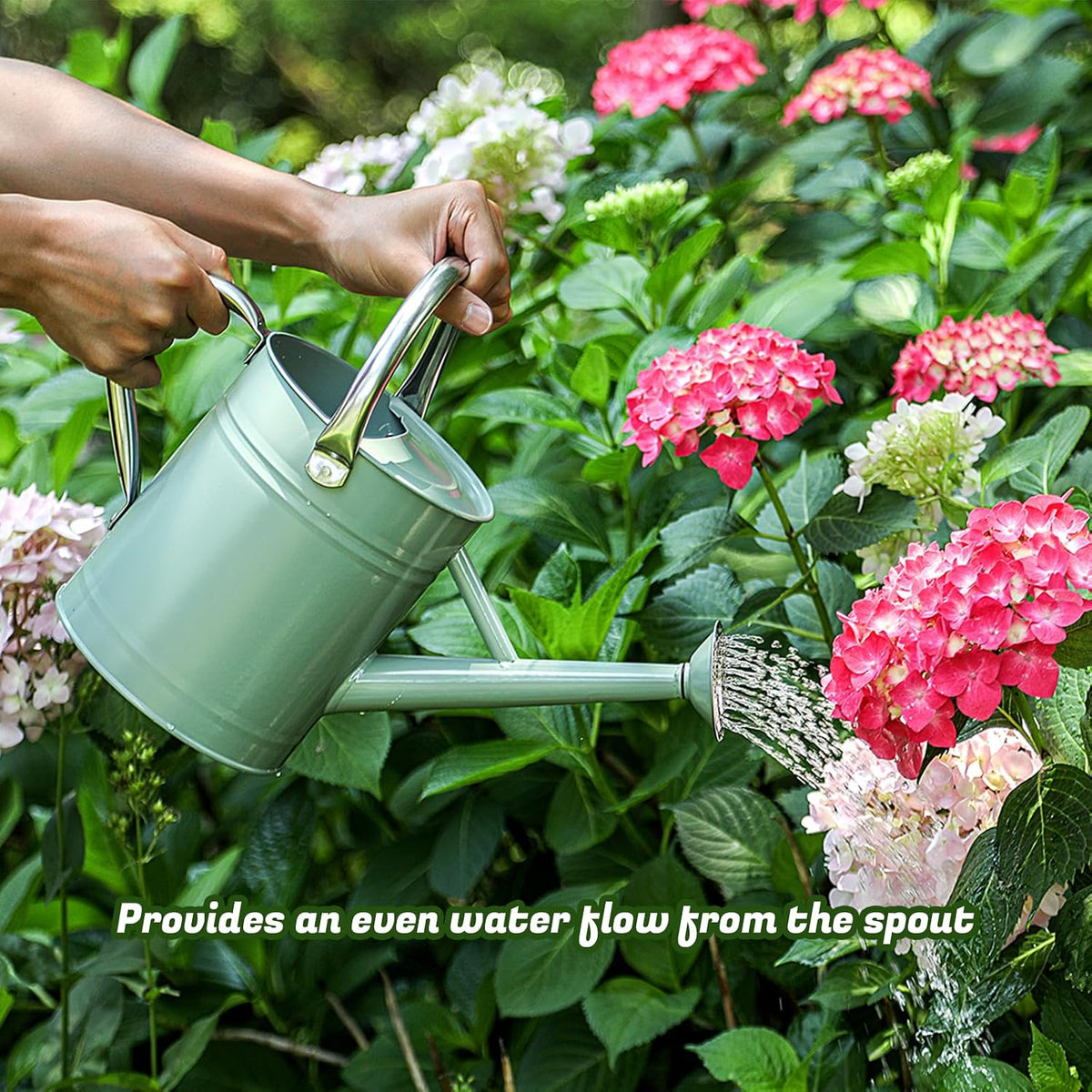 1 Gallon Watering Can for Plants, Watering Cans for Indoor&Outdoor Gardening, Galvanized Steel Watering Pot with Removable Spout, Metal Water Can with Ergonomic Movable Handle(Cream Green)