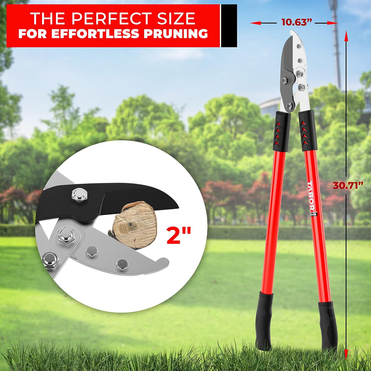 TABOR TOOLS GG12A Anvil Lopper with Compound Action, 30 Inch Tree Trimmer & Branch Cutter, Heavy Duty Tree Pruner with 2 Inch Cut Capacity, Chops Thick Dry Branches with Ease