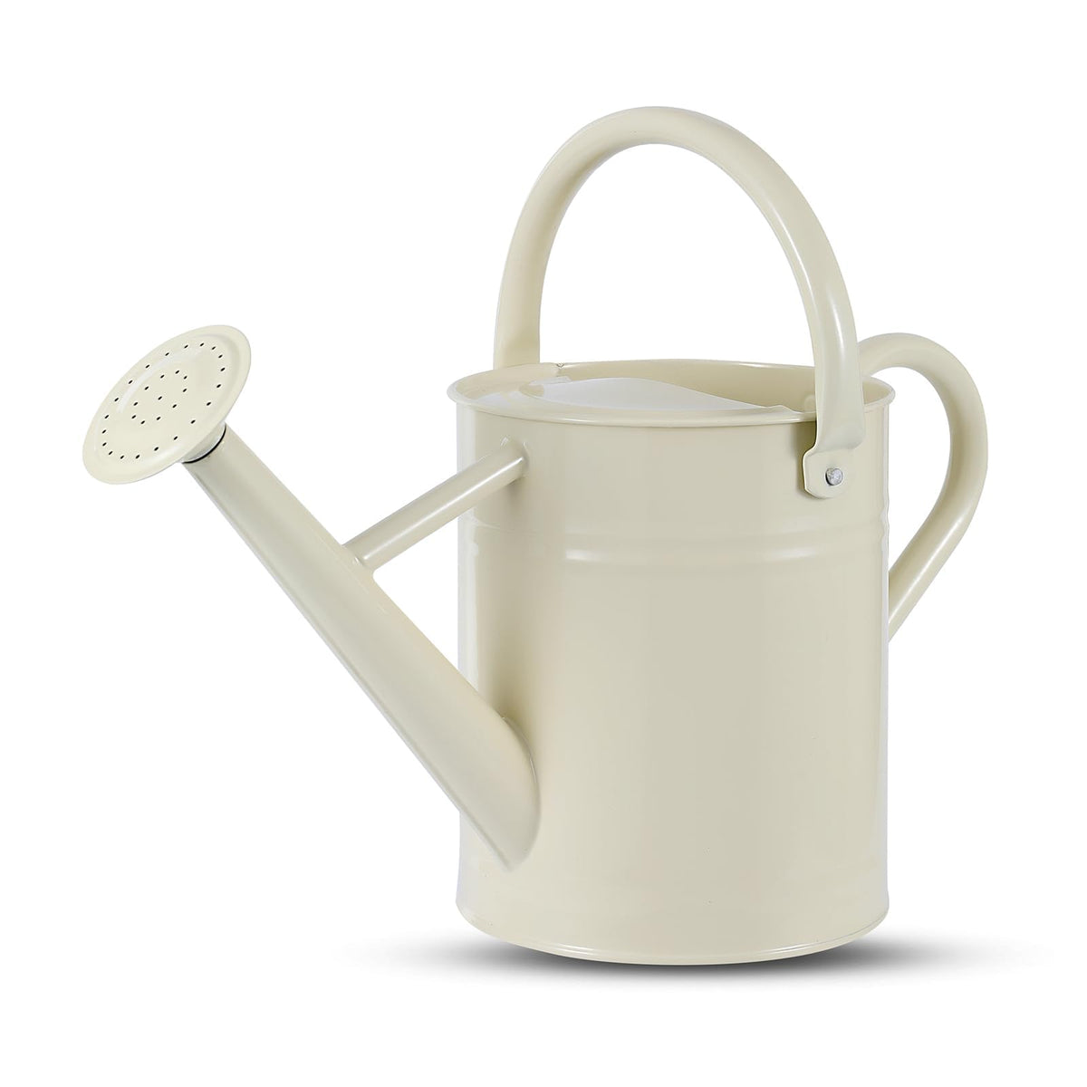 1 Gallon Watering Can for Plants, Watering Cans for Indoor&Outdoor Gardening, Galvanized Steel Watering Pot with Removable Spout, Metal Water Can with Ergonomic Movable Handle(Cream Green)