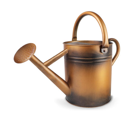 Metal Watering Can with Removable Spout, Galvanized Steel Plants Water Can for Women, Men and Kids' Outdoor or Indoor Gardening - Nice Flower Watering Pot Gift & Decoration (Ocean Blue, 0.6 Gallon)