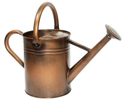 Metal Watering Can 1 Gallon for Outdoor Garden Plants, Green