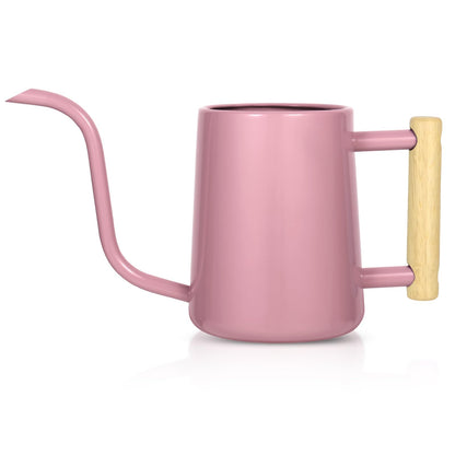 Watering Can Indoor Plants, 35 oz/1000 ml Metal Stainless Steel Watering Can Pot with Long Spout for Indoor House Plants Bonsai Outdoor Garden Flower Decorative (Sage Green)