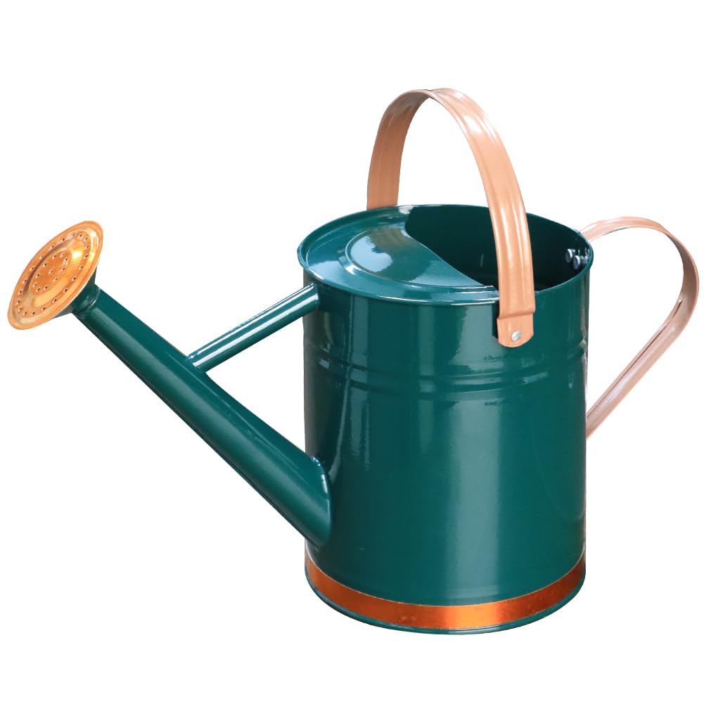 Metal Watering Can 1 Gallon for Outdoor Garden Plants, Green