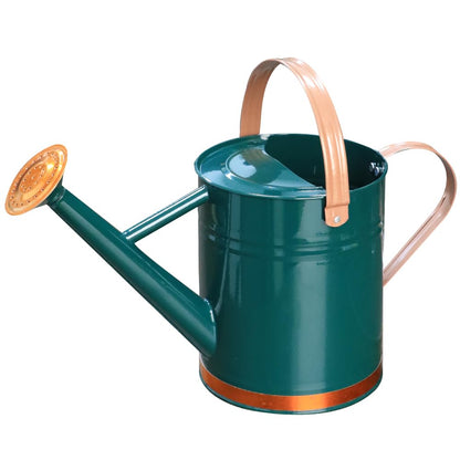 Metal Watering Can 1 Gallon for Outdoor Garden Plants, Green