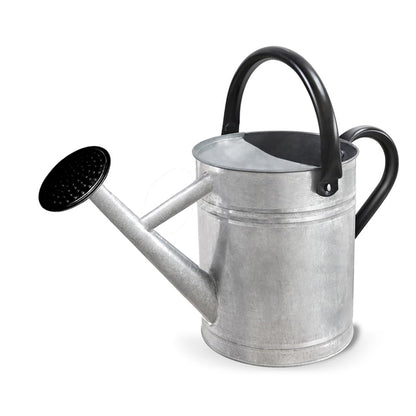 Metal Watering Can with Removable Spout, Galvanized Steel Plants Water Can for Women, Men and Kids' Outdoor or Indoor Gardening - Nice Flower Watering Pot Gift & Decoration (Ocean Blue, 0.6 Gallon)