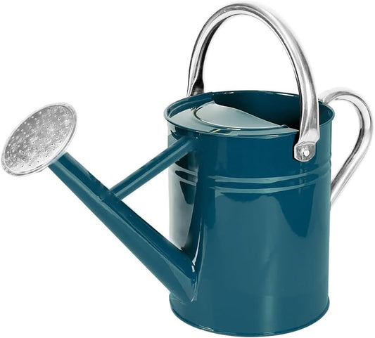 Metal Watering Can with Removable Spout, Galvanized Steel Plants Water Can for Women, Men and Kids' Outdoor or Indoor Gardening - Nice Flower Watering Pot Gift & Decoration (Ocean Blue, 0.6 Gallon)