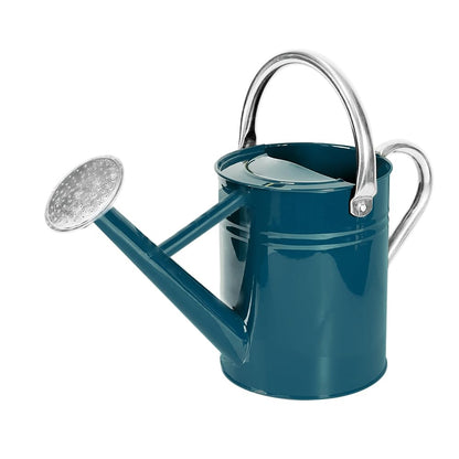 Metal Watering Can with Removable Spout, Galvanized Steel Plants Water Can for Women, Men and Kids' Outdoor or Indoor Gardening - Nice Flower Watering Pot Gift & Decoration (Ocean Blue, 0.6 Gallon)