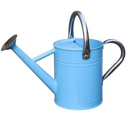 Metal Watering Can 1 Gallon for Outdoor Garden Plants, Green
