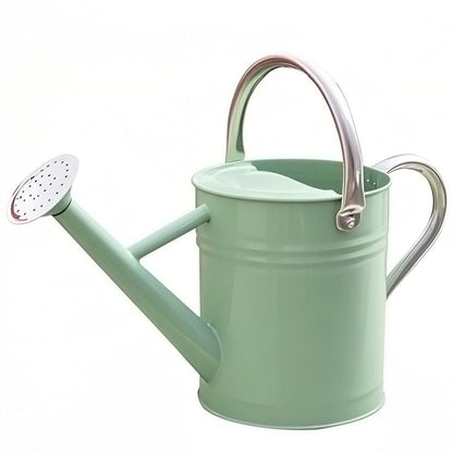 Metal Watering Can 1 Gallon for Outdoor Garden Plants, CGreen