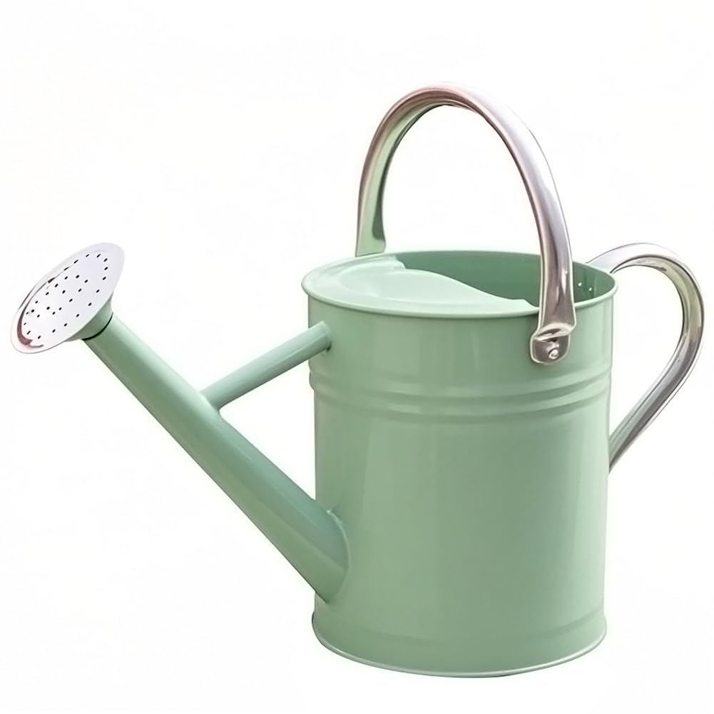 Metal Watering Can 1 Gallon for Outdoor Garden Plants, Green