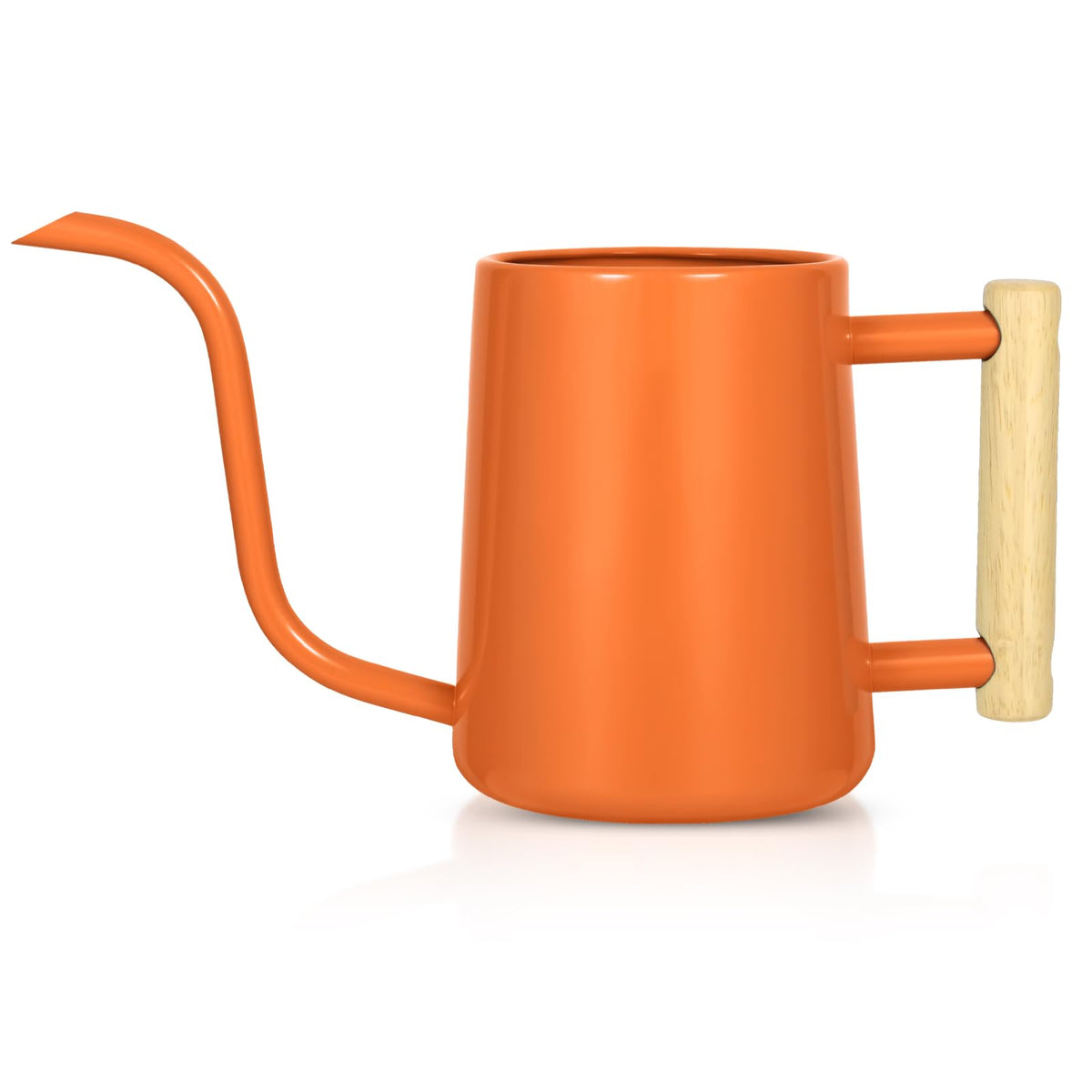 Watering Can Indoor Plants, 35 oz/1000 ml Metal Stainless Steel Watering Can Pot with Long Spout for Indoor House Plants Bonsai Outdoor Garden Flower Decorative (Sage Green)