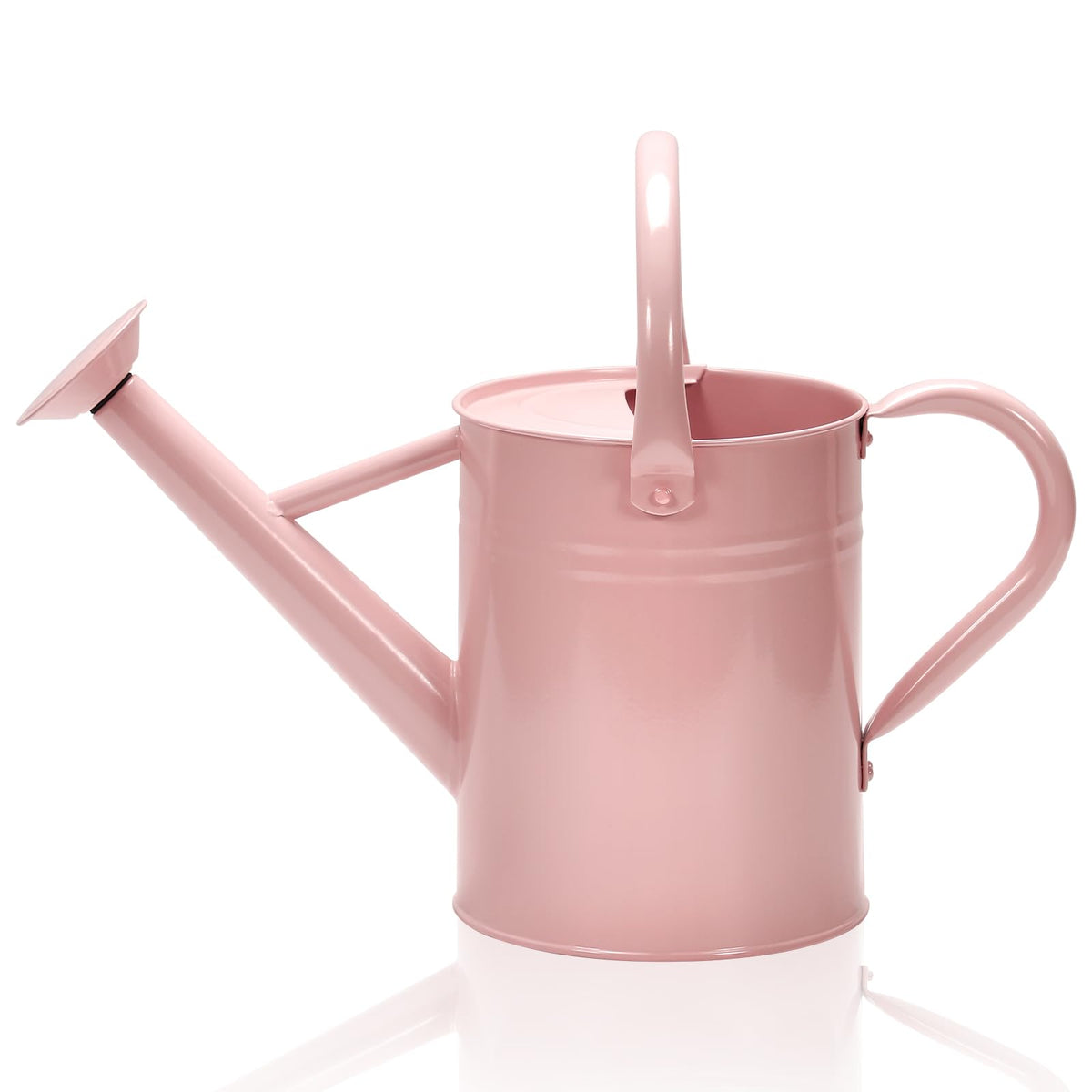Metal Watering Can with Removable Spout, Galvanized Watering Can, Perfect for Indoor Use and for Outdoor Use (1 Gallaon, Metal)