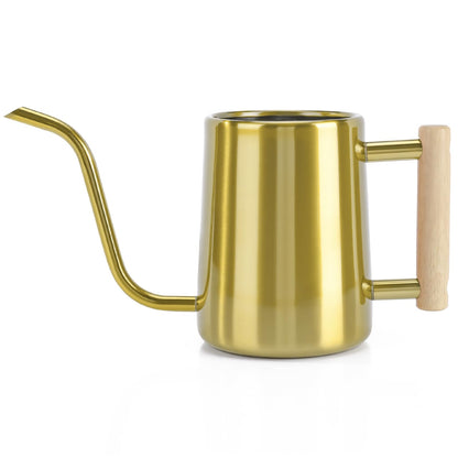 Watering Can Indoor Plants, 35 oz/1000 ml Metal Stainless Steel Watering Can Pot with Long Spout for Indoor House Plants Bonsai Outdoor Garden Flower Decorative (Sage Green)