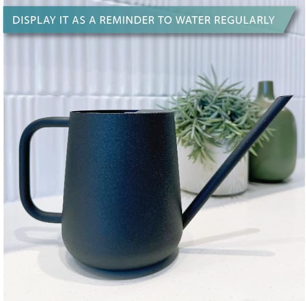 Metal Indoor Plant Watering Can with Long Spout 1000ml - Black