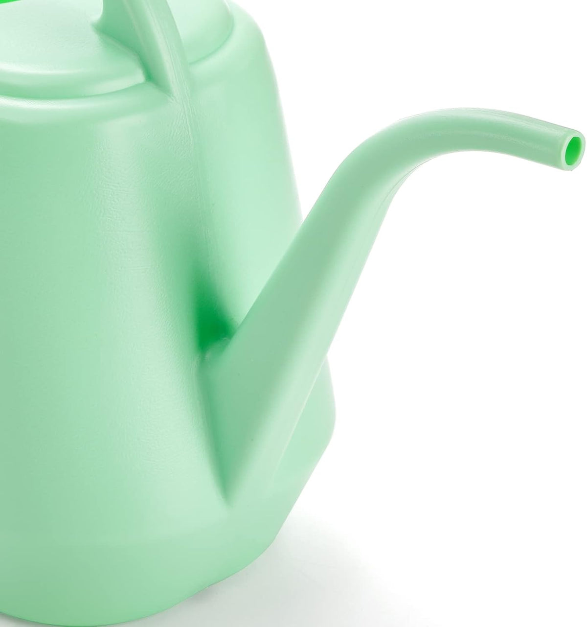 Fasmov Plastic Watering Can, 1-Gallon, Pine Green