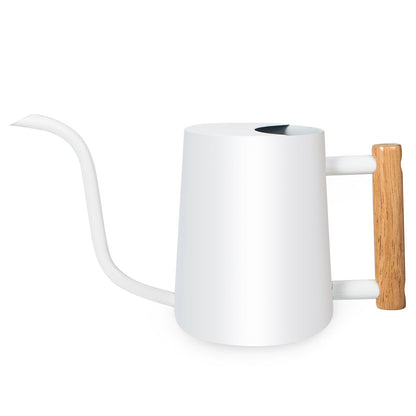 Watering Can Indoor Plants, 35oz Small Indoor Stainless Steel Metal Watering Can Modern Decorative Watering Pot with Long Spout for Indoor House Plant Bonsai Garden Flowers (Sage Green)