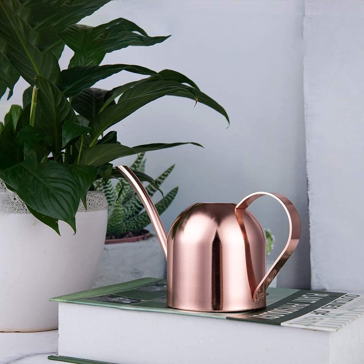 IMEEA Mini Indoor Watering Can for Small Plants, Stainless Steel with Long Spout, 15oz/450ml – Perfect for Desk, Windowsill & Bonsai