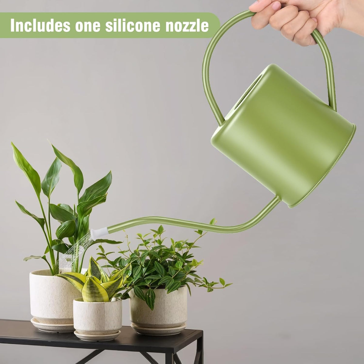 Plant Watering Can, 50 oz / 1500 ml Stainless Steel Metal - Modern Decorative with Long Spout for Indoor Potted Plants, Bonsai, Garden Flowers, Saga Green