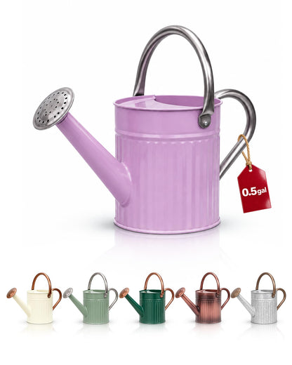 Bamworld Metal Watering Can for Indoor Outdoor Plant 1/2 Gallon Creamy