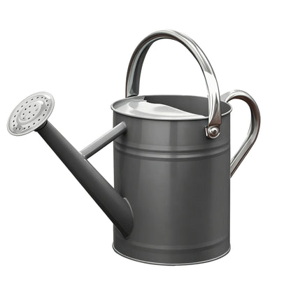 Metal Watering Can for Outdoor Plants, Watering Can Decor 1 Gallon (Zinc)