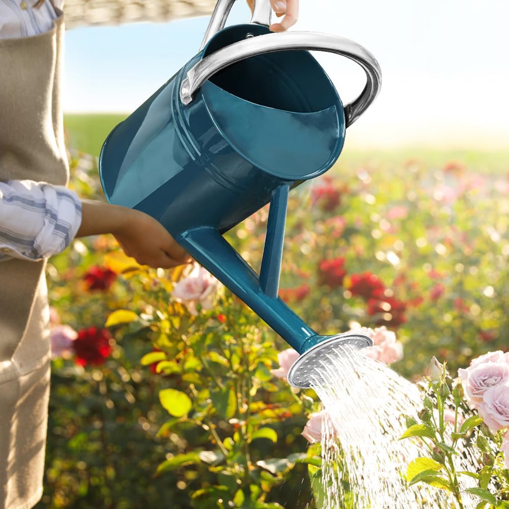 Metal Watering Can with Removable Spout, Galvanized Steel Plants Water Can for Women, Men and Kids' Outdoor or Indoor Gardening - Nice Flower Watering Pot Gift & Decoration (Ocean Blue, 0.6 Gallon)